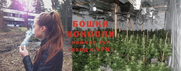 метадон Белоозёрский
