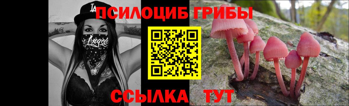 Псилоцибиновые грибы GOLDEN TEACHER Маркс